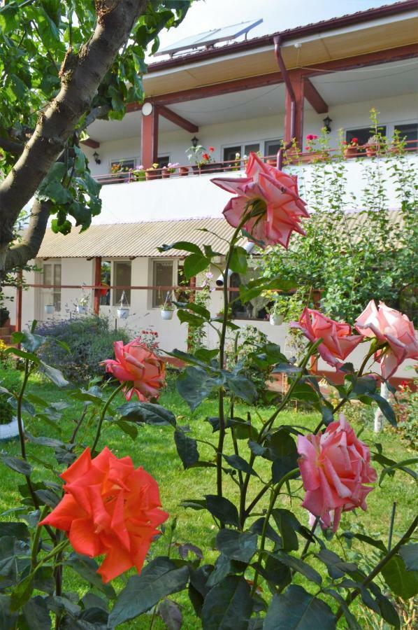 Casa Gia Costinesti Exterior foto